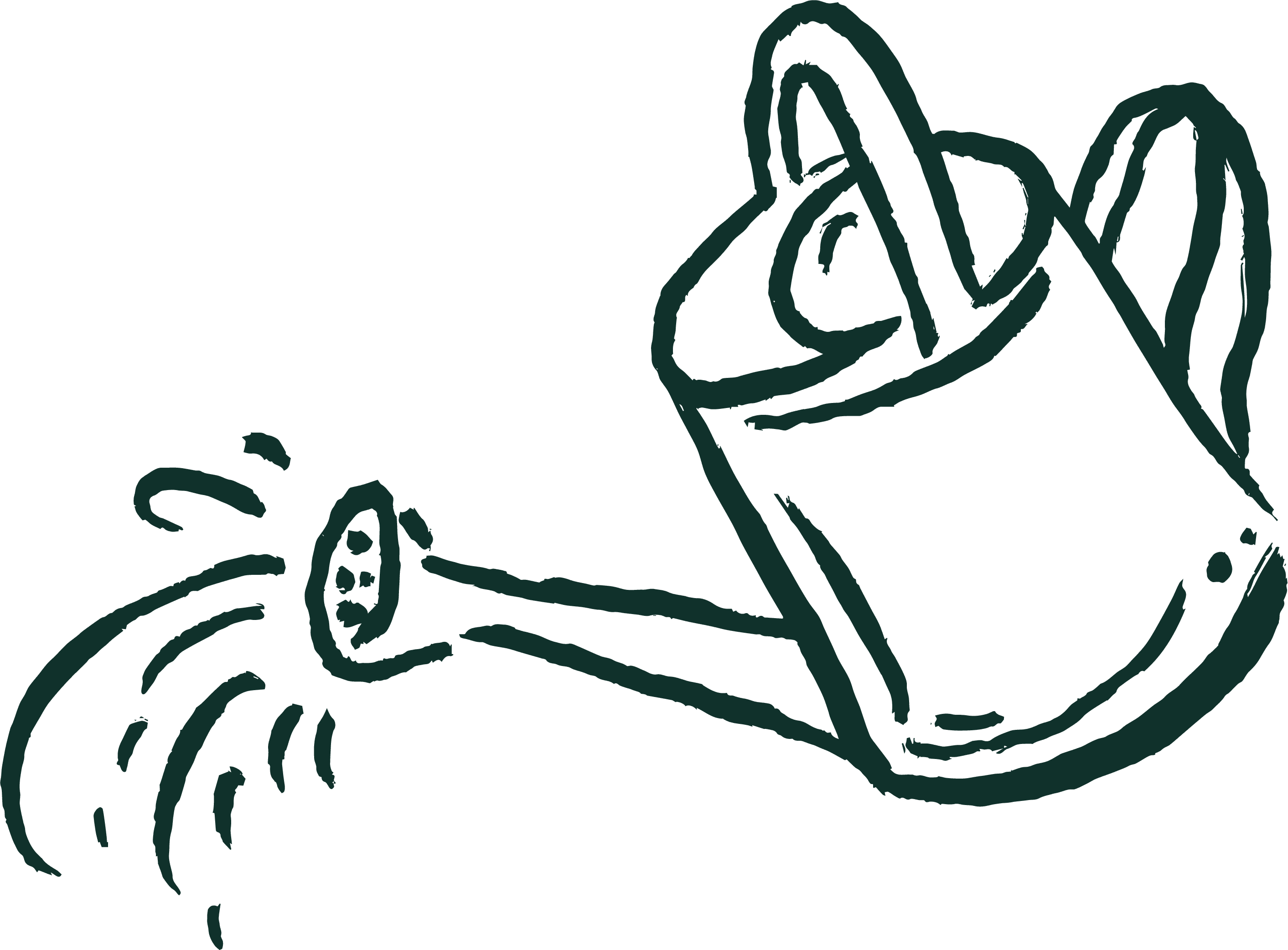 Alternative text should describe the visual content of the image.