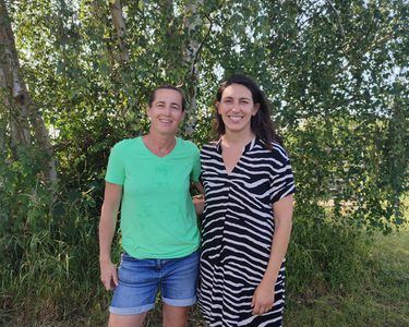 Alternative text should describe the visual content of the image.