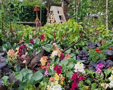 Alternative text should describe the visual content of the image.