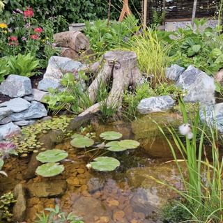 Alternative text should describe the visual content of the image.