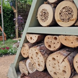 Alternative text should describe the visual content of the image.