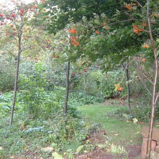 Alternative text should describe the visual content of the image.