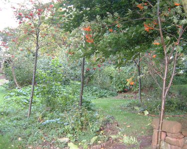 Alternative text should describe the visual content of the image.