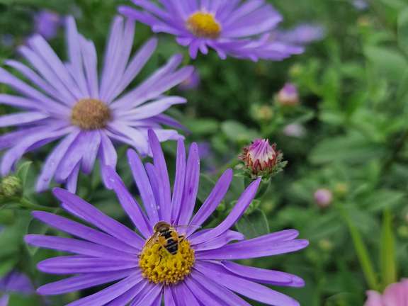 Alternative text should describe the visual content of the image.