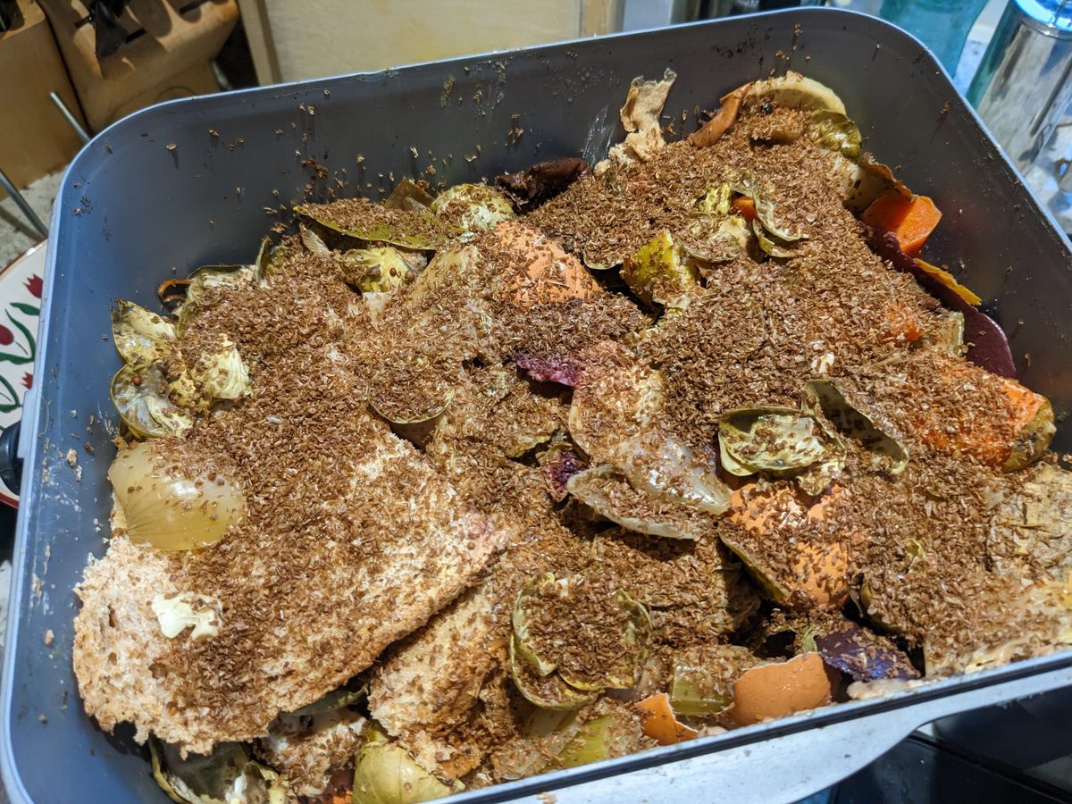 Bot Kasti How to ferment food waste using the bokashi method | Garden Organic