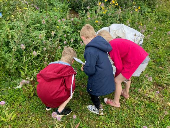 Alternative text should describe the visual content of the image.