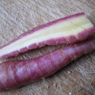 Alternative text should describe the visual content of the image.