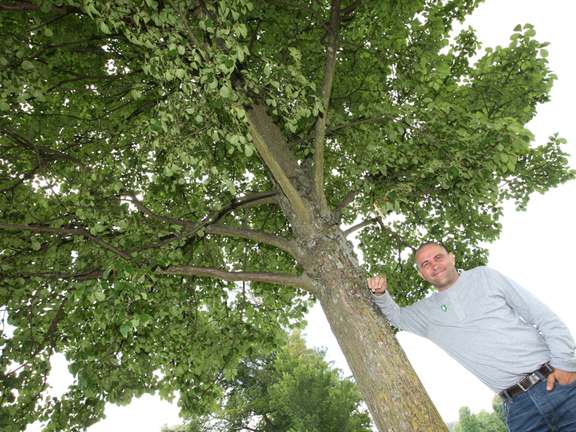 Chris Collins stands in front of a tree