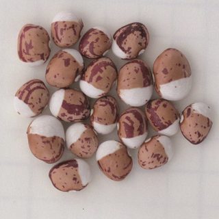 George R. Bean Podst George's | Garden Organic