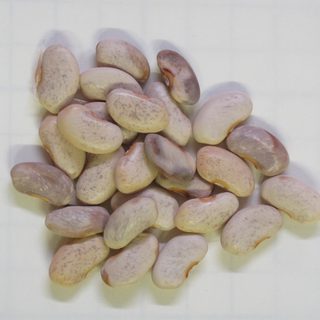 Alternative text should describe the visual content of the image.