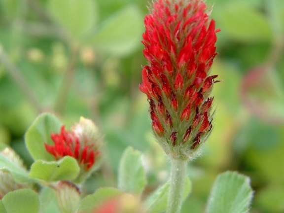 Alternative text should describe the visual content of the image.