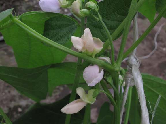 Alternative text should describe the visual content of the image.