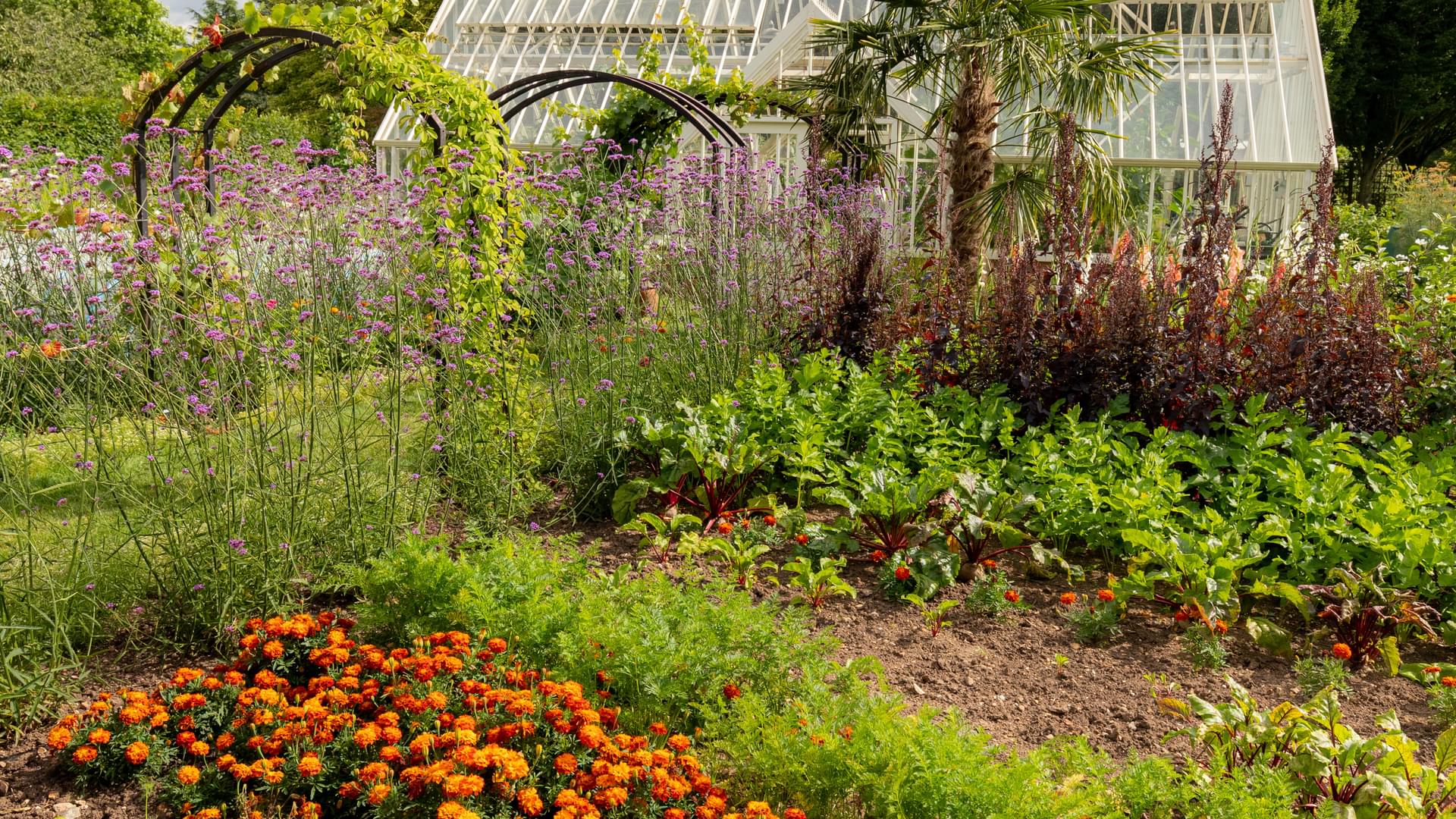 Garden beds at Ryton
