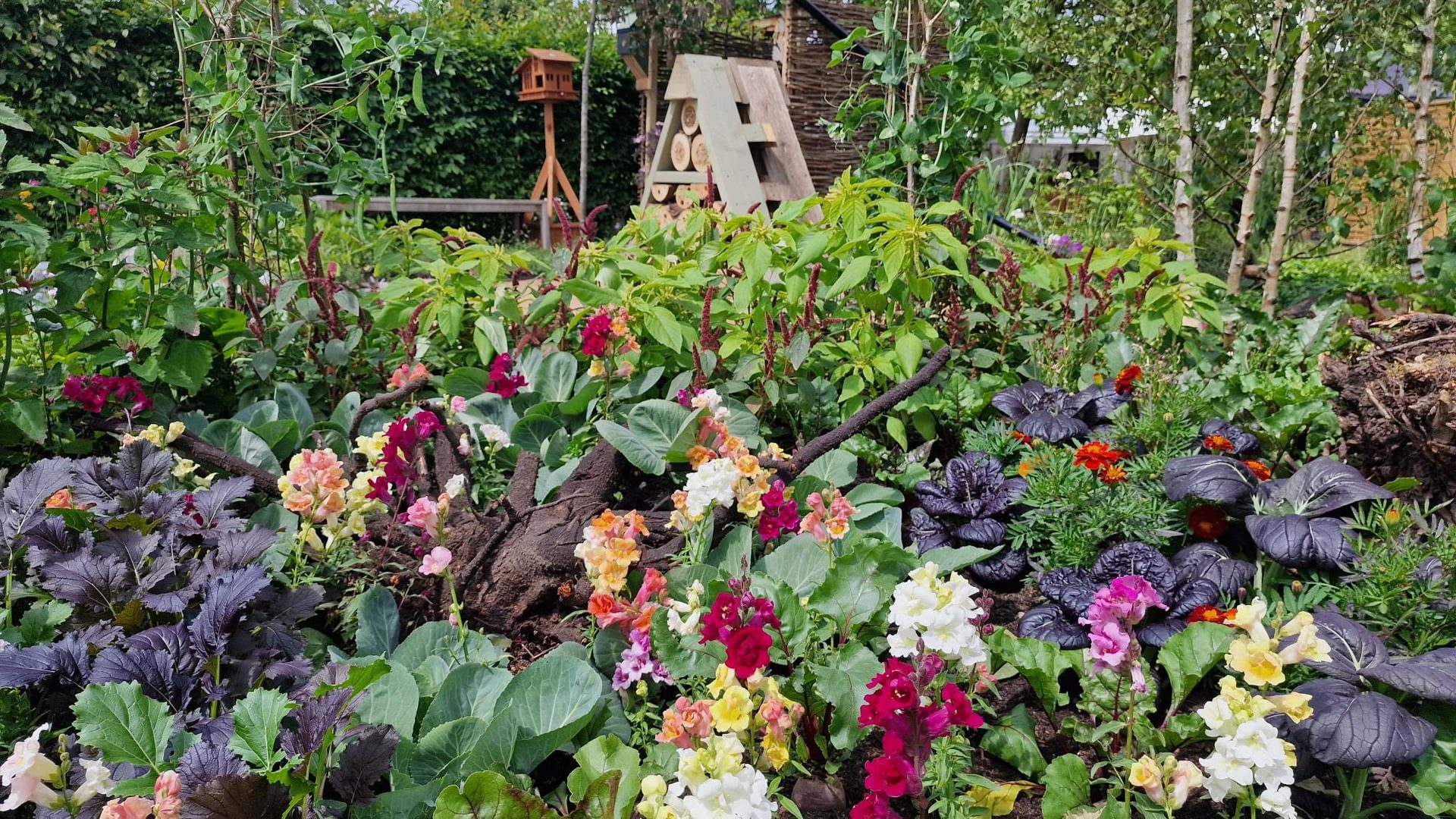 Ecotalk 'Rooted in Nature Garden'