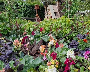 Ecotalk 'Rooted in Nature Garden'