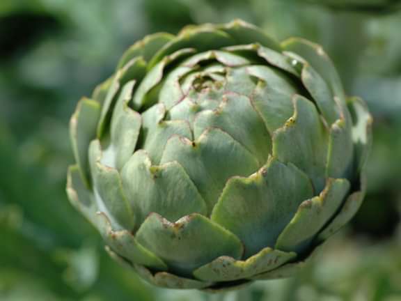 Alternative text should describe the visual content of the image.