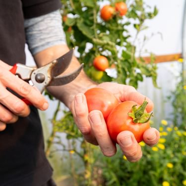 Alternative text should describe the visual content of the image.