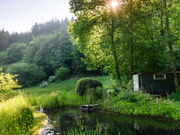 Alternative text should describe the visual content of the image.