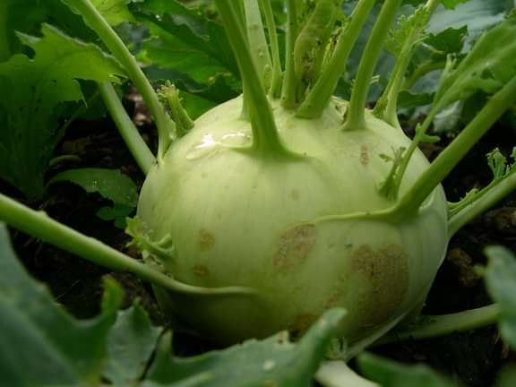 Alternative text should describe the visual content of the image.