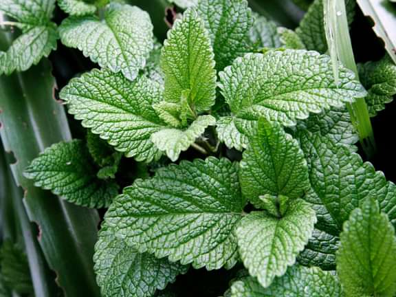 Alternative text should describe the visual content of the image.