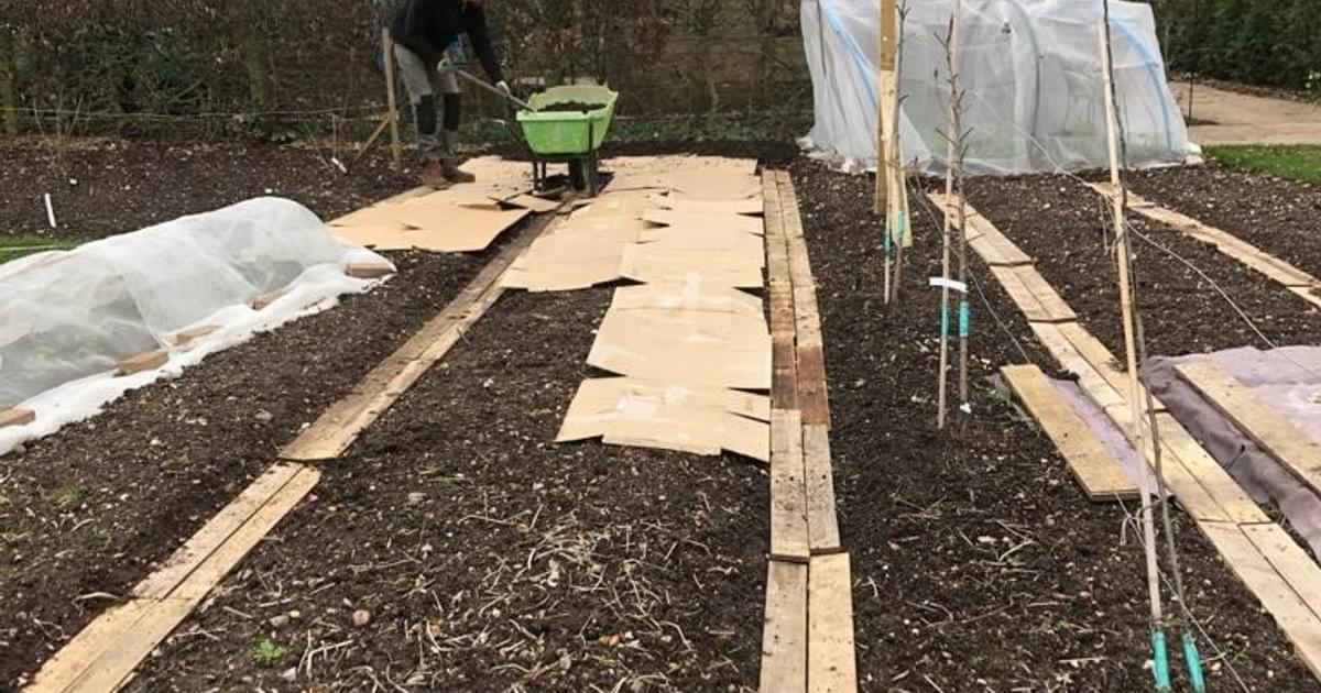 Mistakes to avoid and lessons from the field