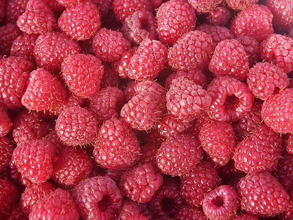 Garden Organic | Raspberry
