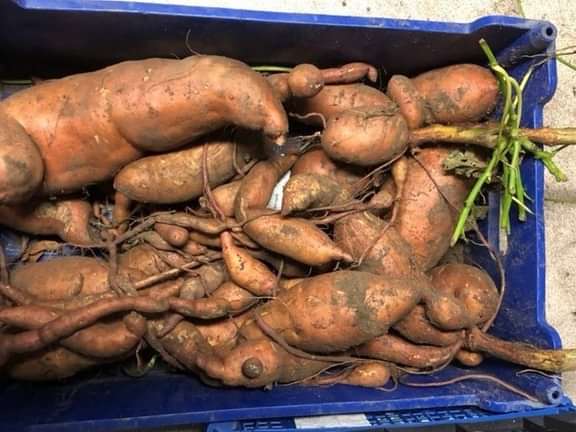 Alternative text should describe the visual content of the image.