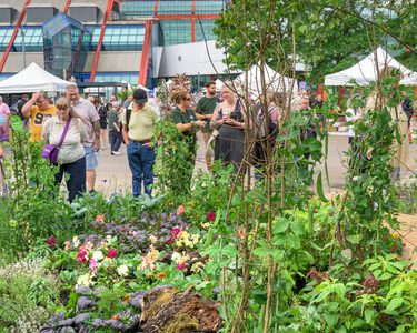 Alternative text should describe the visual content of the image.