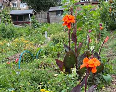 Alternative text should describe the visual content of the image.