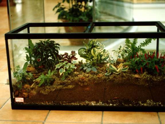 Alternative text should describe the visual content of the image.