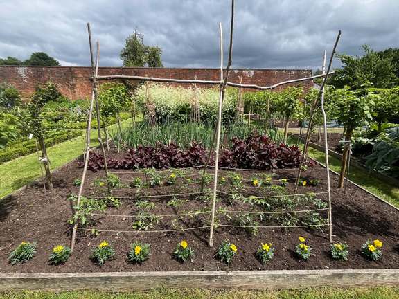 Alternative text should describe the visual content of the image.