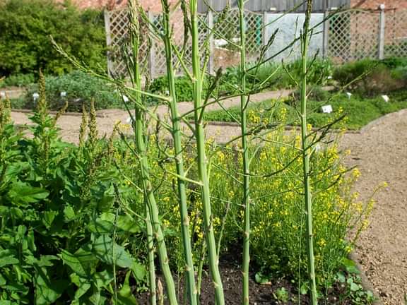 Alternative text should describe the visual content of the image.