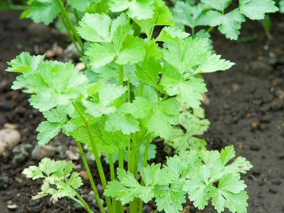 Alternative text should describe the visual content of the image.