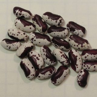 Alternative text should describe the visual content of the image.