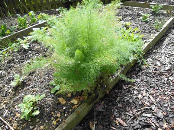 Alternative text should describe the visual content of the image.