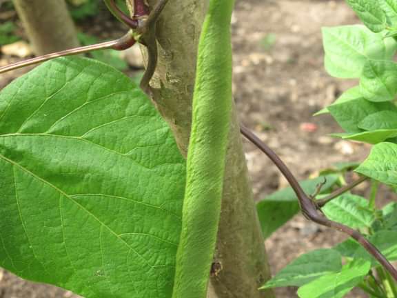 Alternative text should describe the visual content of the image.