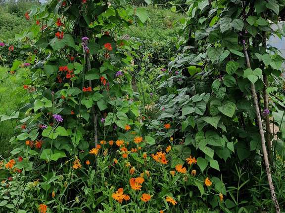 Alternative text should describe the visual content of the image.