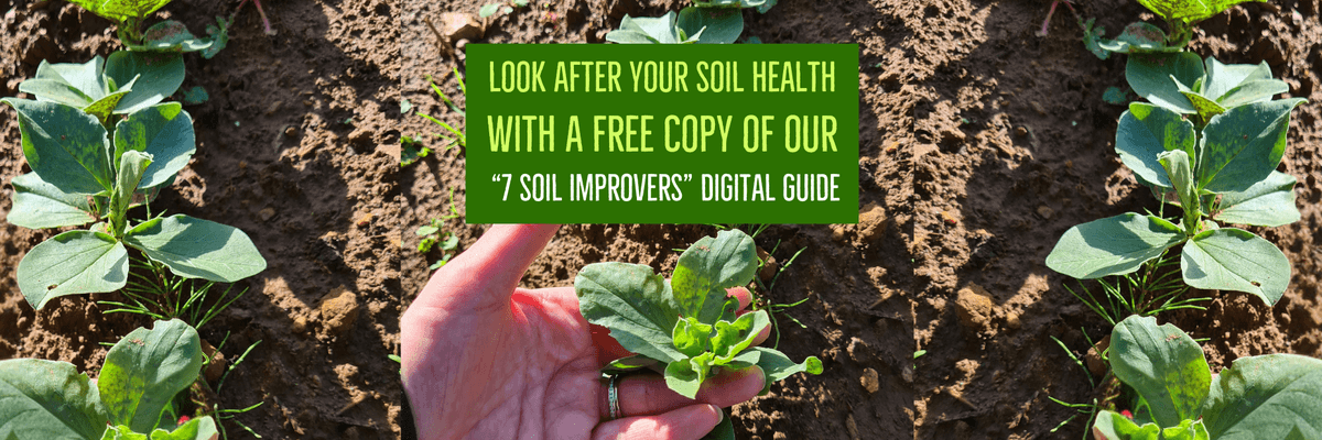 image reads: look after your soil health with a free copy of our 7 soil improvers digital guide